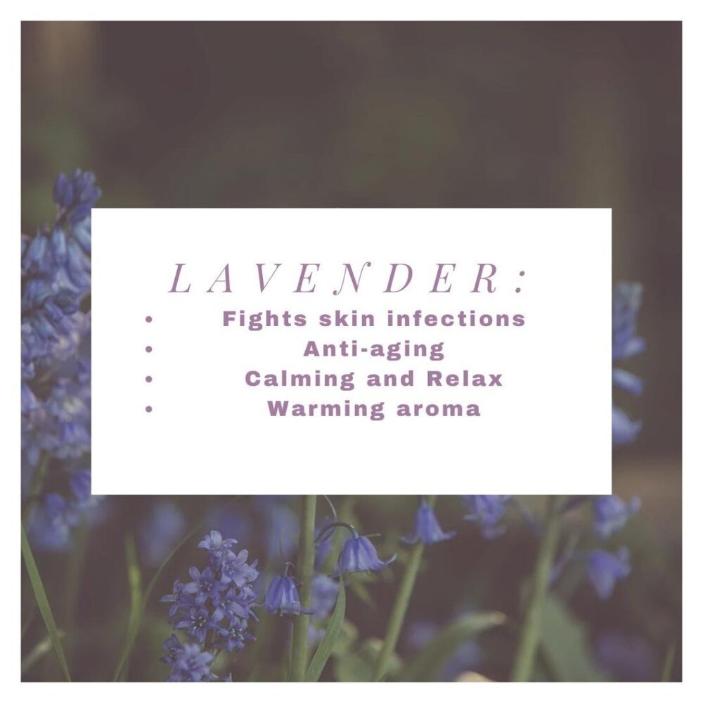 Lavendar Latte / All Natural Herbal Lavendar Healing Salve - Picture 2 of 3